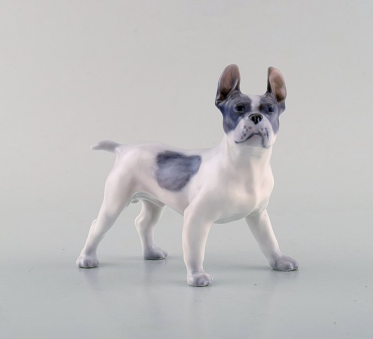 Royal Copenhagen porcelain figurine. Boston terrier. Model Number 1457.