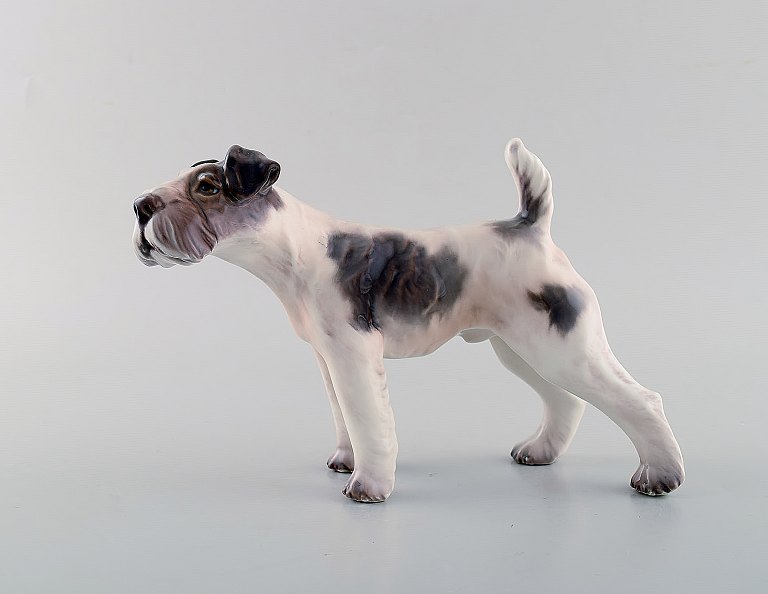 Dahl Jensen porcelænsfigur. Ruhåret foxterrier. Modelnummer 1009. 1. Sortering. 
1930