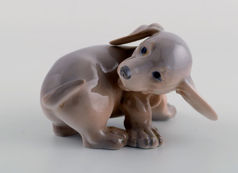 Royal Copenhagen porcelænsfigur. Gravhund hvalp. 1920