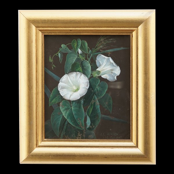 I. L. Jensen bindweed. I. L. Jensen, 1800-56, gouache on paper. Signed "I. L. 
Jensen D. 26. Sept. 1847". Visbile size: 16,5x13,5cm. With frame: 25x22cm