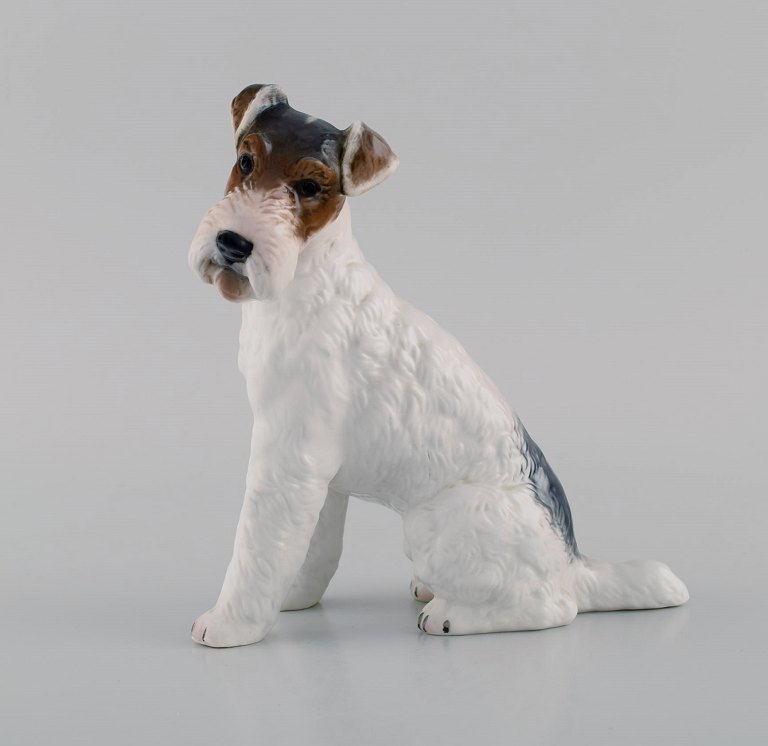 Classic Rose Collection. Rosenthal Group. Ruhåret fox terrier i håndmalet 
porcelæn. Midt 1900-tallet.
