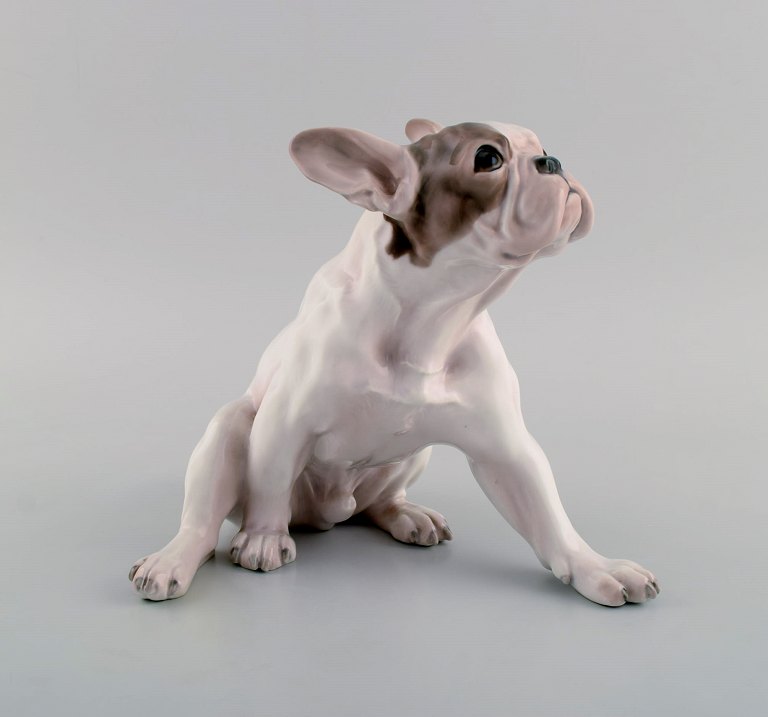 Dahl Jensen for Bing & Grøndahl. Porcelænsfigur. Fransk bulldog. 1920/30