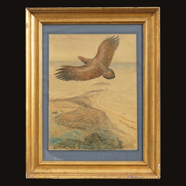 Johannes Larsen, 1867-1961, eagle. Watercolor and drawing. Signed and dated 
1927. Visible size: 32x25cmn. With frame: 47x37cm