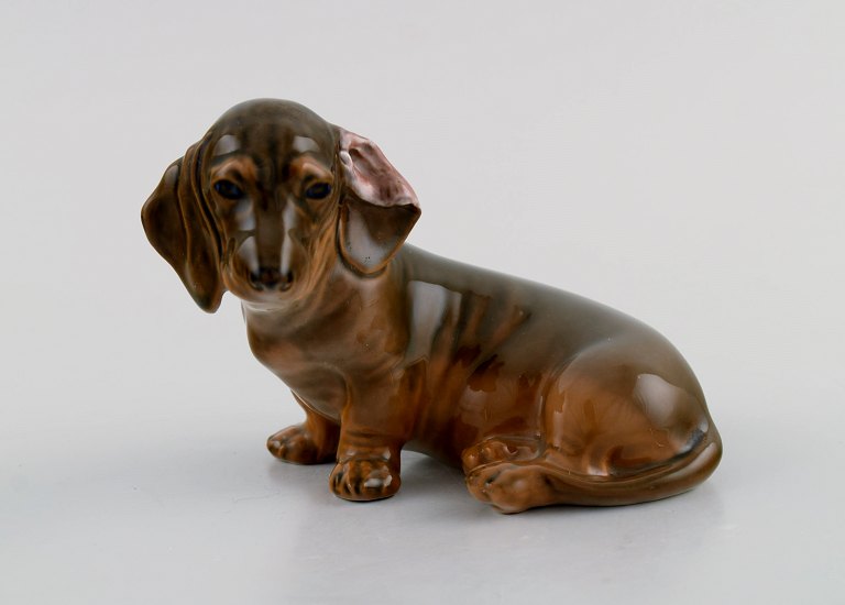 Royal Copenhagen porcelænsfigur. Siddende gravhund. Modelnummer 3140. Dateret 
1964. 
