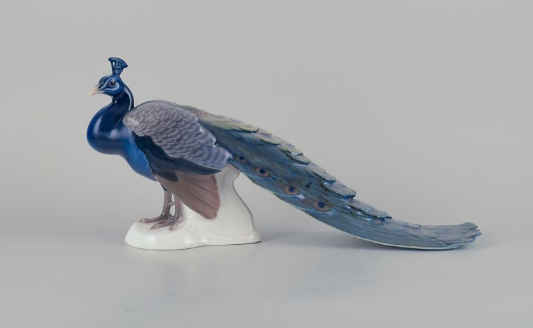 Bing & Grøndahl, large porcelain figurine of a peacock.