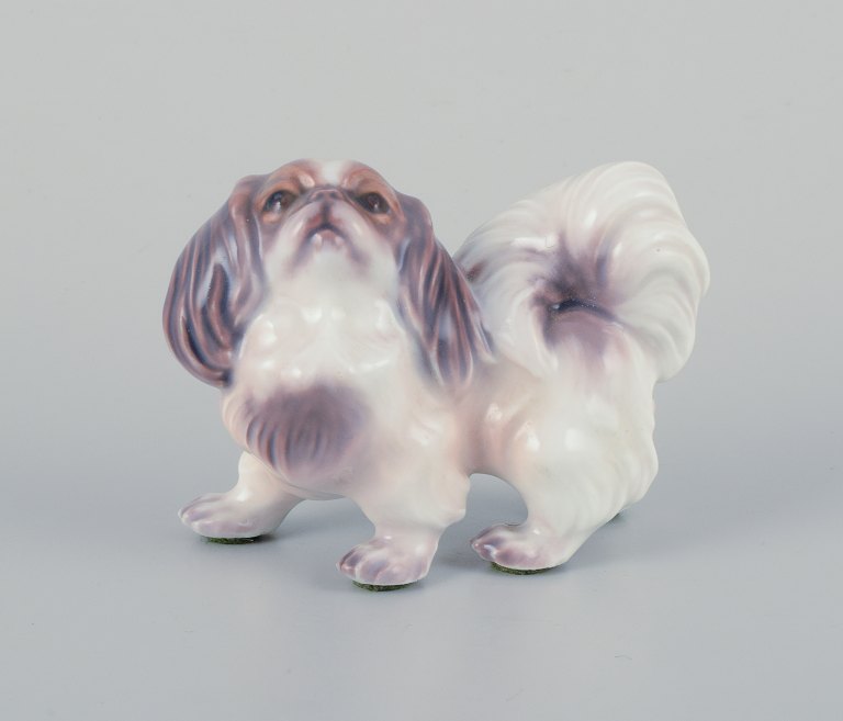 Dahl Jensen, porcelænsfigur af pekingeser.