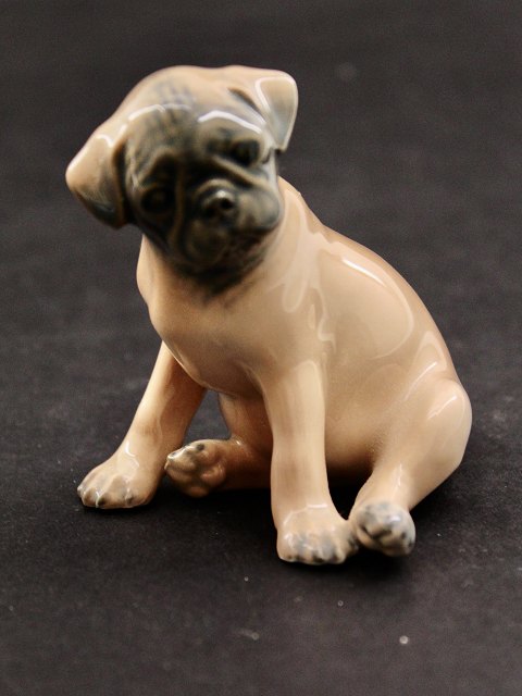 Royal Copenhagen boxer puppy 3169